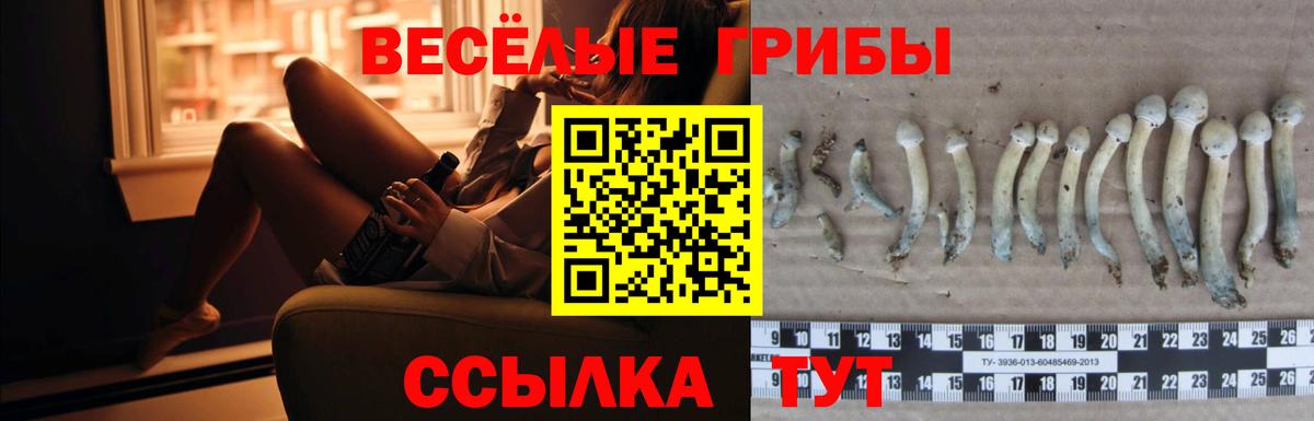 Псилоцибиновые грибы Cubensis  Вход с VPN  купить наркотик  Кушва 